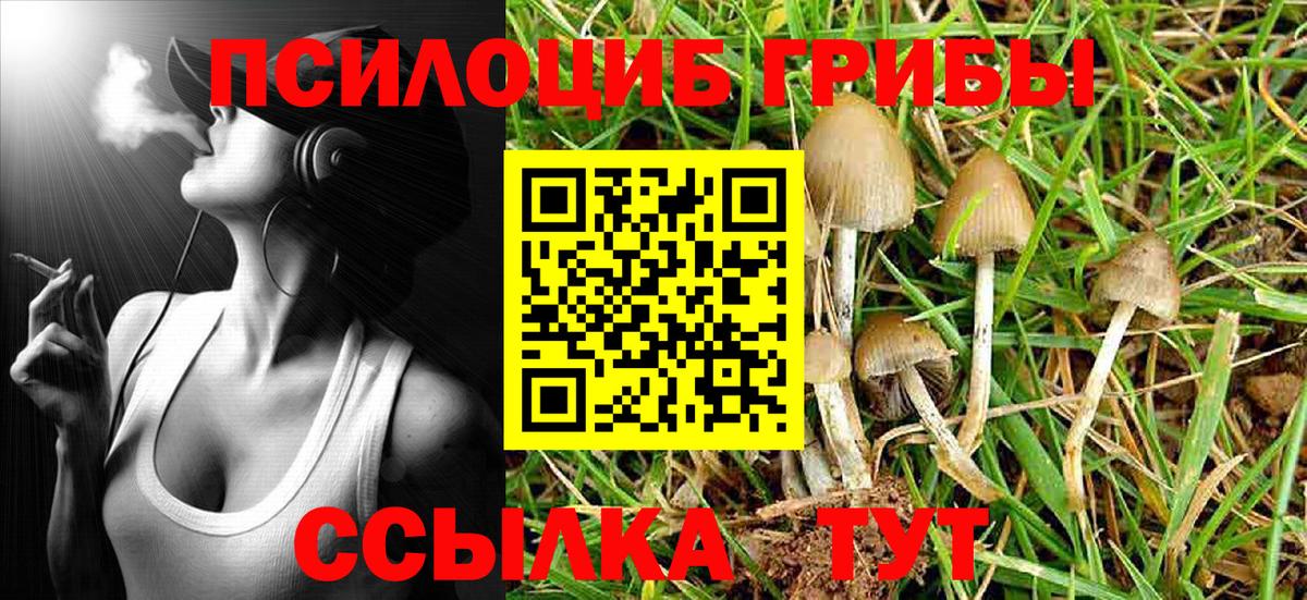 где продают   Галлюциногенные грибы Psilocybe  Вход с VPN  Котлас 