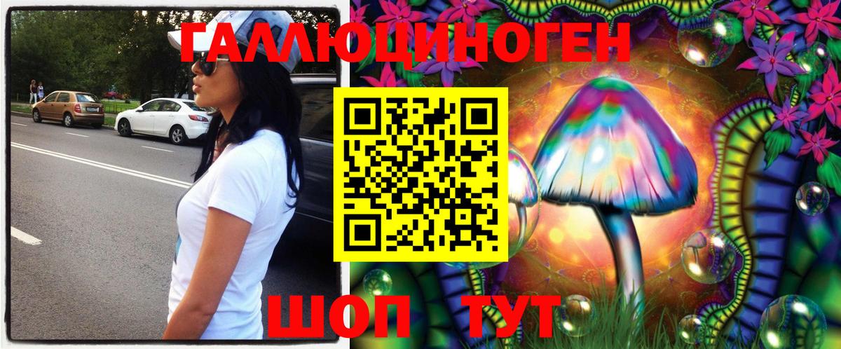 Галлюциногенные грибы GOLDEN TEACHER Котлас